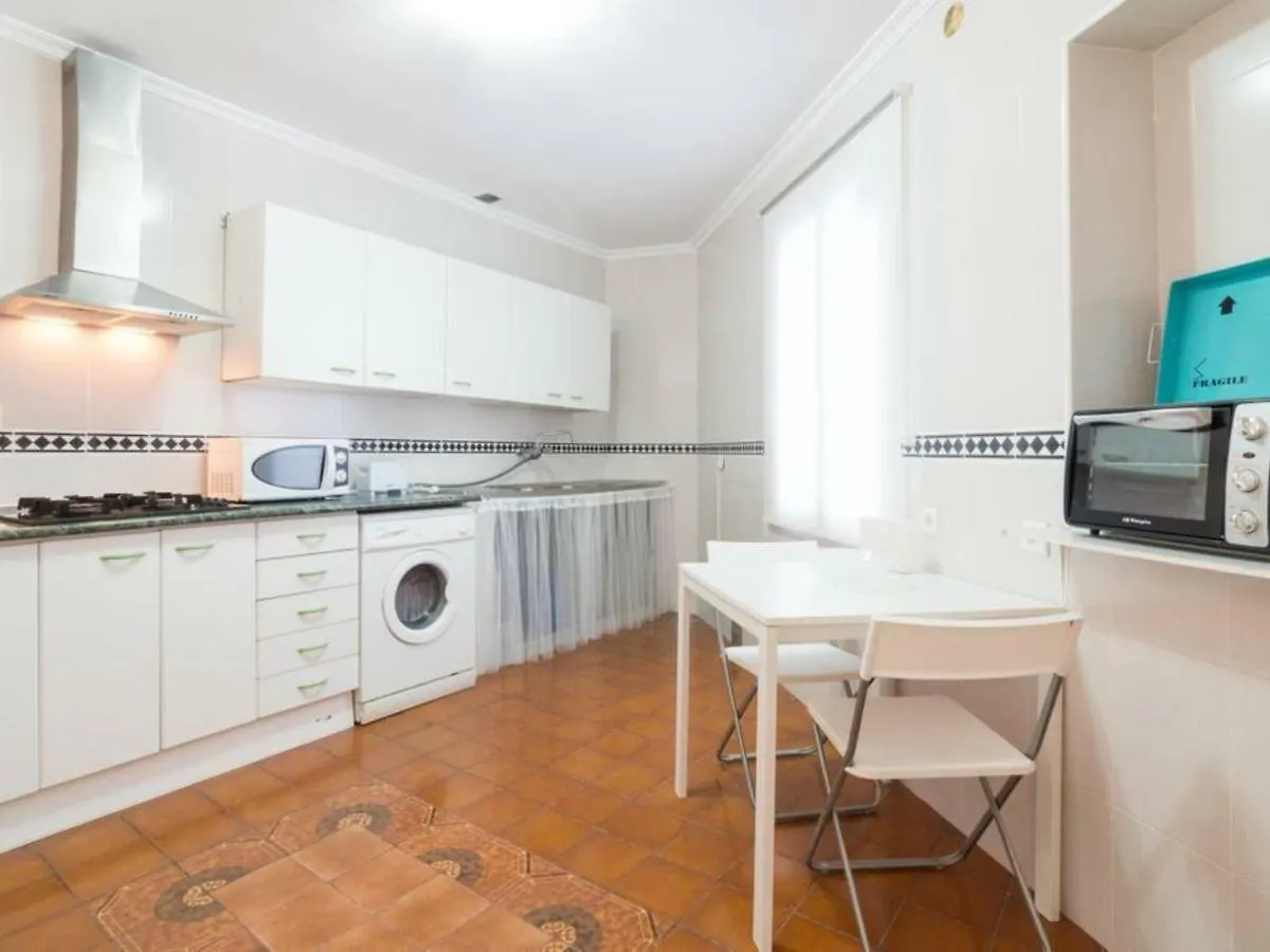 Larios Penthouse With Terrace And 2 Bedrooms Malaga Apartment